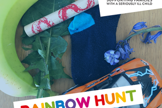 Rainbow Hunt image