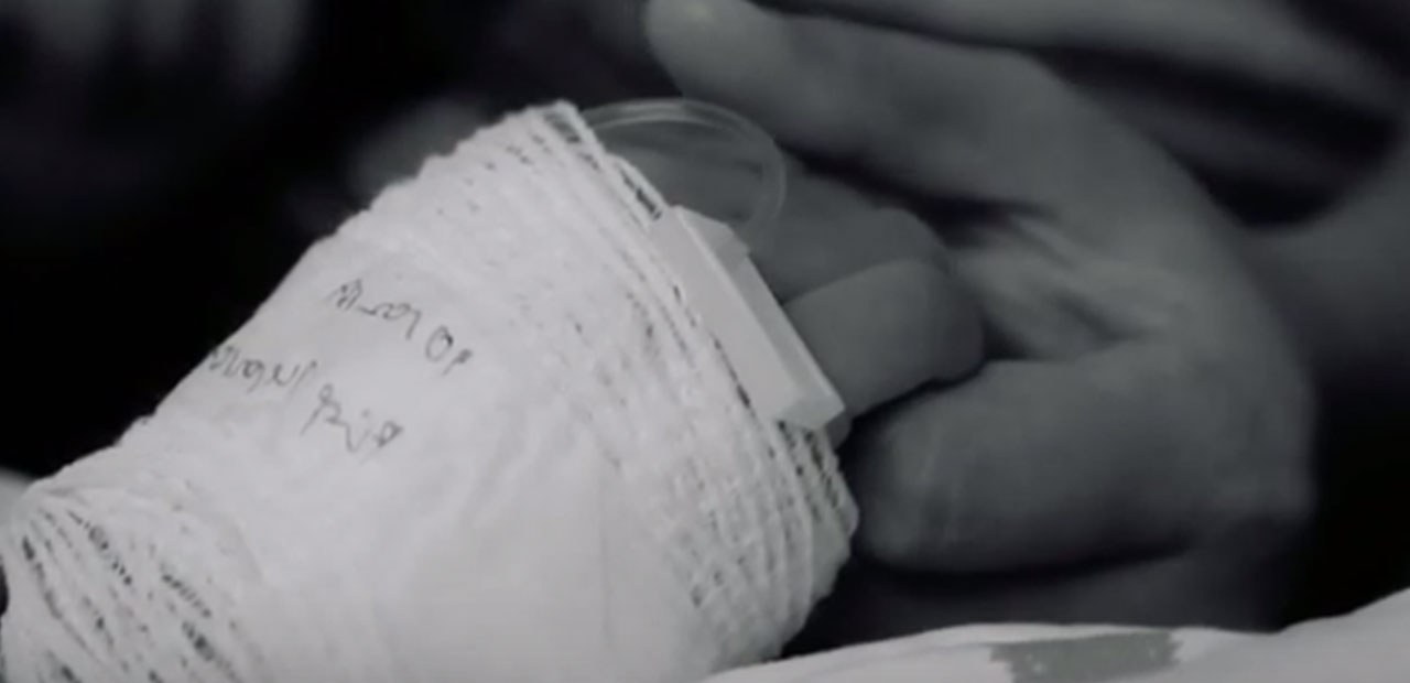 Protecting our future: an open letter from Anne, our Director of Care Services