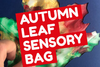 Autumn Leaf Sensory Bag image